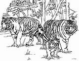 Printable Coloring Page For Older Kids Picture HD  sketch template