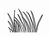 Grass Printable Coloring Pages sketch template