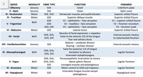 Cranial Nerve Testing Chart