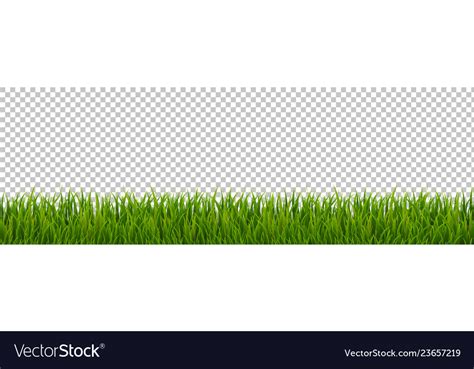 Green grass border transparent background Vector Image