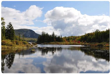 Stillwater State Park on Lake Groton | Vermont Fish & Wildlife Department