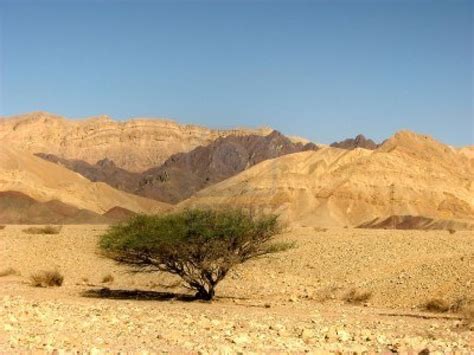 Deep Desert Israel Jeep Tours, Rappelling and Desert Activities ...