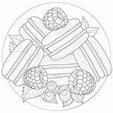 Macaroons With Raspberries Blueberries And MintSweetsColoring Book  sketch template