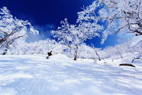 Hokkaido ski resorts-Hokkaido ski package | POWDER SKI JAPAN