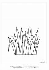 Grass Coloring Pages Download And Print sketch template