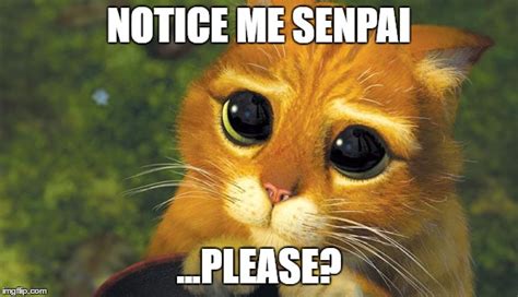 Notice Me Senpai Meme Generator