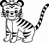 Coloring Tiger Pages Baby Cute Popular Sketch Page sketch template
