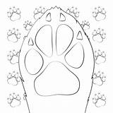 Dog Paw Coloring Page sketch template