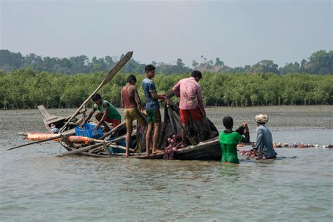 Eight countries come together to protect Bay of Bengal | China Dialogue