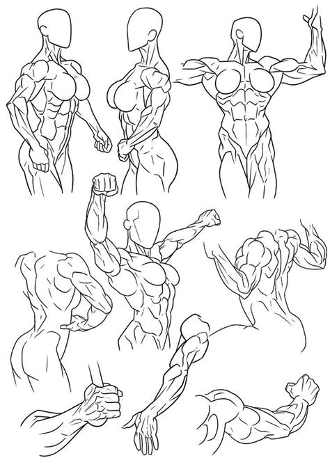 Figure Reference Female Muscle by Bambs79 on DeviantArt | Drawings, Figure drawing reference ...