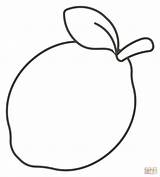 Lemon coloring page  Free Printable Coloring Pages sketch template