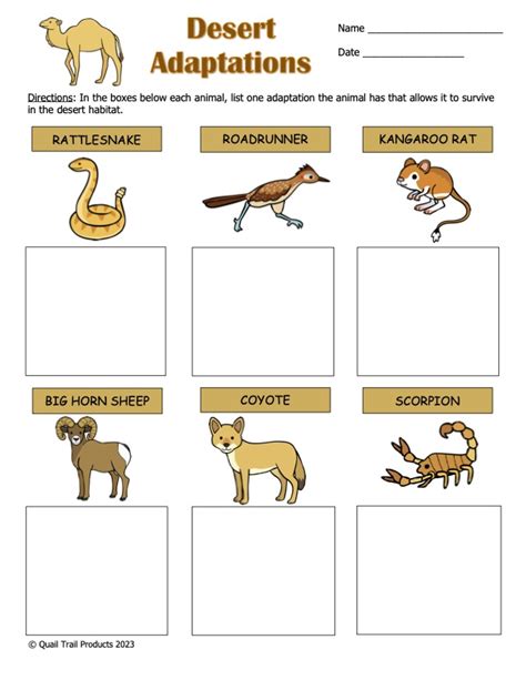 Animal Adaptations in the Desert Activities and Worksheets | Made By Teachers