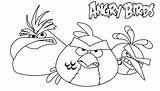 Angry Birds Seasons Coloring Pages sketch template