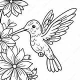 Majestic Hummingbird Feeding On Flowers Coloring Page  Pagescom sketch template
