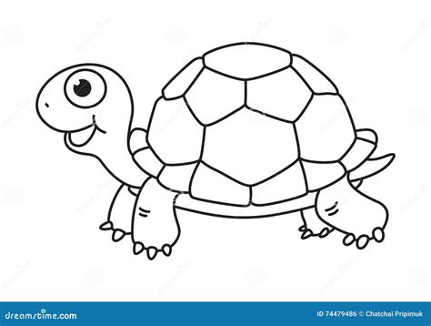 Cartoon turtle , vector stock vector. Illustration of cute - 74479486