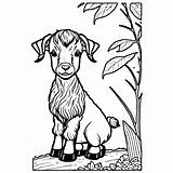 Kid With Boer Goat Coloring Page · Creative Fabrica sketch template