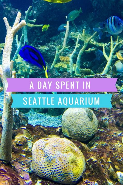 Seattle Aquarium (1)