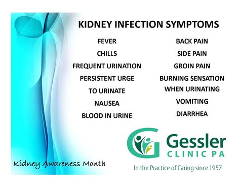 Kidney Infection Pain Location