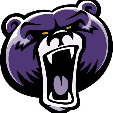 Bellevue University Bruins | MascotDB.com