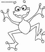 Anfibi 2 Disegni Per Bambini Da Colorare sketch template