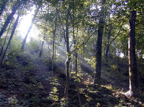 Riserva Speciale del Sacro Monte di Crea: L'Area Protetta