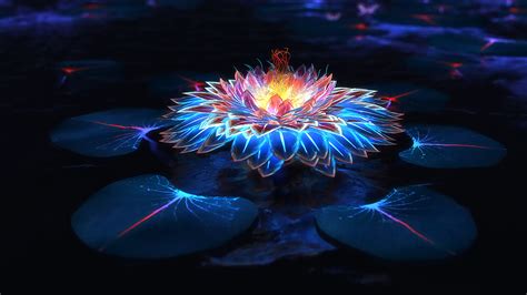 Lotus, Flower, Glowing, Colorful, 4K, 3840x2160, #23 Wallpaper PC Desktop