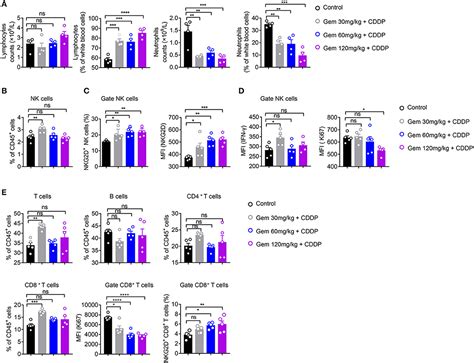 Frontiers | Low-Dose Gemcitabine Treatment Enhances Immunogenicity and ...