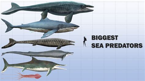 The 10 Biggest Sea Predators Extinct and Living - YouTube