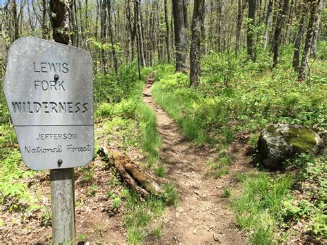 A Guide to Hiking the Appalachian Trail in Virginia - Travel Dudes