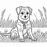 How To Coloring Pages 2025 sketch template