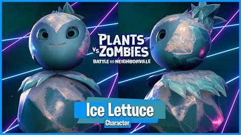 Iceberg Lettuce Pvz Bfn - SAM Vegetable