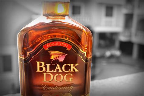 File:Black Dog Centenary whisky bottle.jpg - Wikimedia Commons