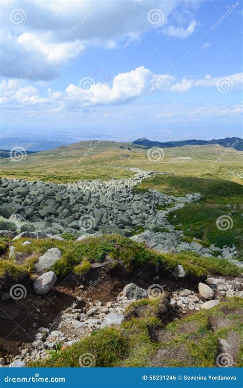 Vitosha mountain stock photo. Image of bulgaria, habitat - 58231246