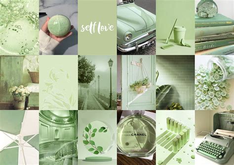 Sage Green Wall Collage Kit Botanical Matcha Aesthetic Photo Collage Soft Mint Green Room Decor ...