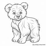 Bear Cub Coloring Pages  Free & Printable sketch template