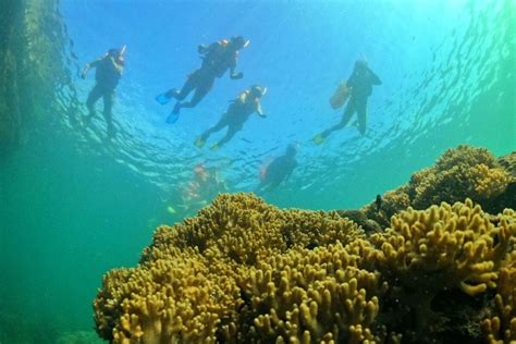 Phu Quoc Snorkeling Tour - Explore Coral Reef by Speedboat (Small Group) - AN Tours Vietnam