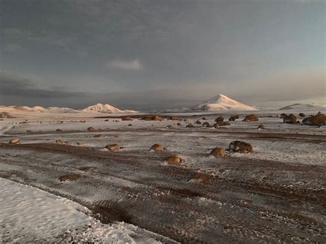 Nevado Sajama: Sajama National Park (Bolivia) | LAC Geo