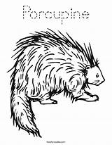 Porcupine Coloring Page  Tracing Twisty Noodle sketch template