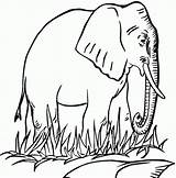Free Printable Elephant Coloring Pages For Kids sketch template