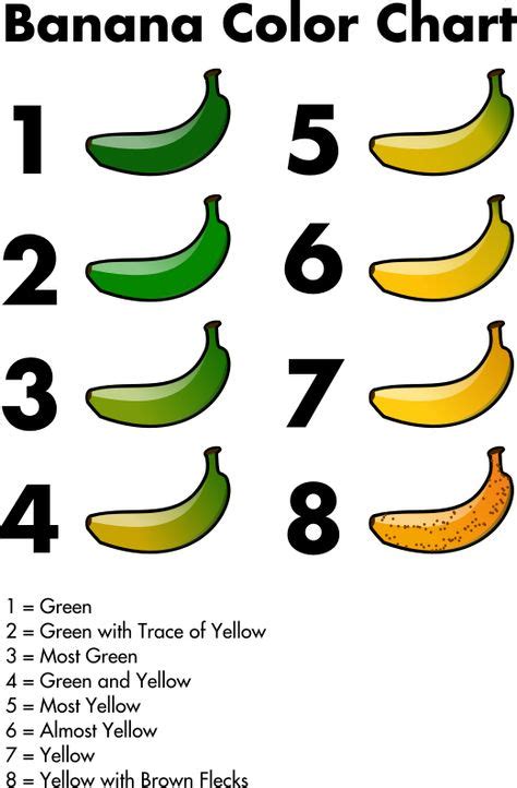 8 Science fair ideas | science fair, banana ripening, banana