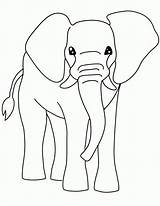 Free Printable Elephant Coloring Pages For Kids sketch template