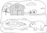 Cute Baby Pig Coloring Page  Free Printable Pages For Kids sketch template
