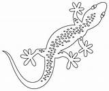 Gecko coloring page  ColouringPages sketch template