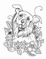 Dog Catcher Coloring Pages sketch template