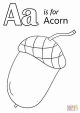 Acorn Coloring Page At GetColoringscom  Free Printable Colorings sketch template
