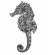 Zentangle Seahorse coloring Page  Download Print Or Color Online For Free sketch template