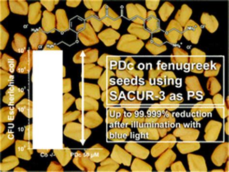 New horizons in microbiological food safety: Photodynamic ...