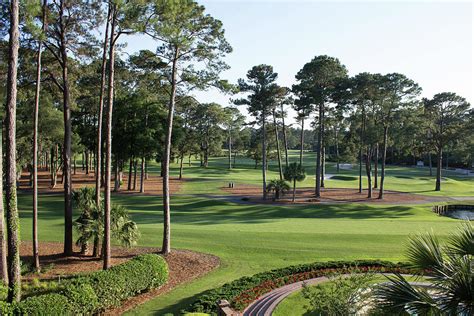 Charleston National Golf Club, South Carolina Photograph by South Carolina Picture Archive - Pixels