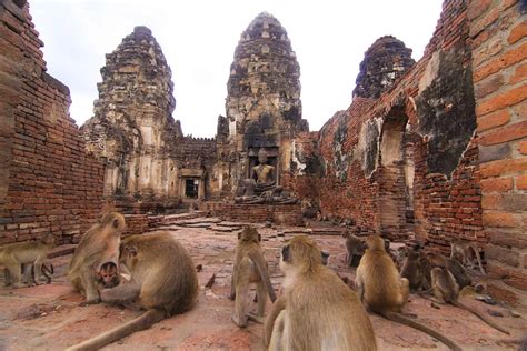 Introducing fascinating tours to the ancient city of Lopburi - Royal ...