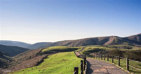 Yangmingshan National Park & Hot Springs - Klook